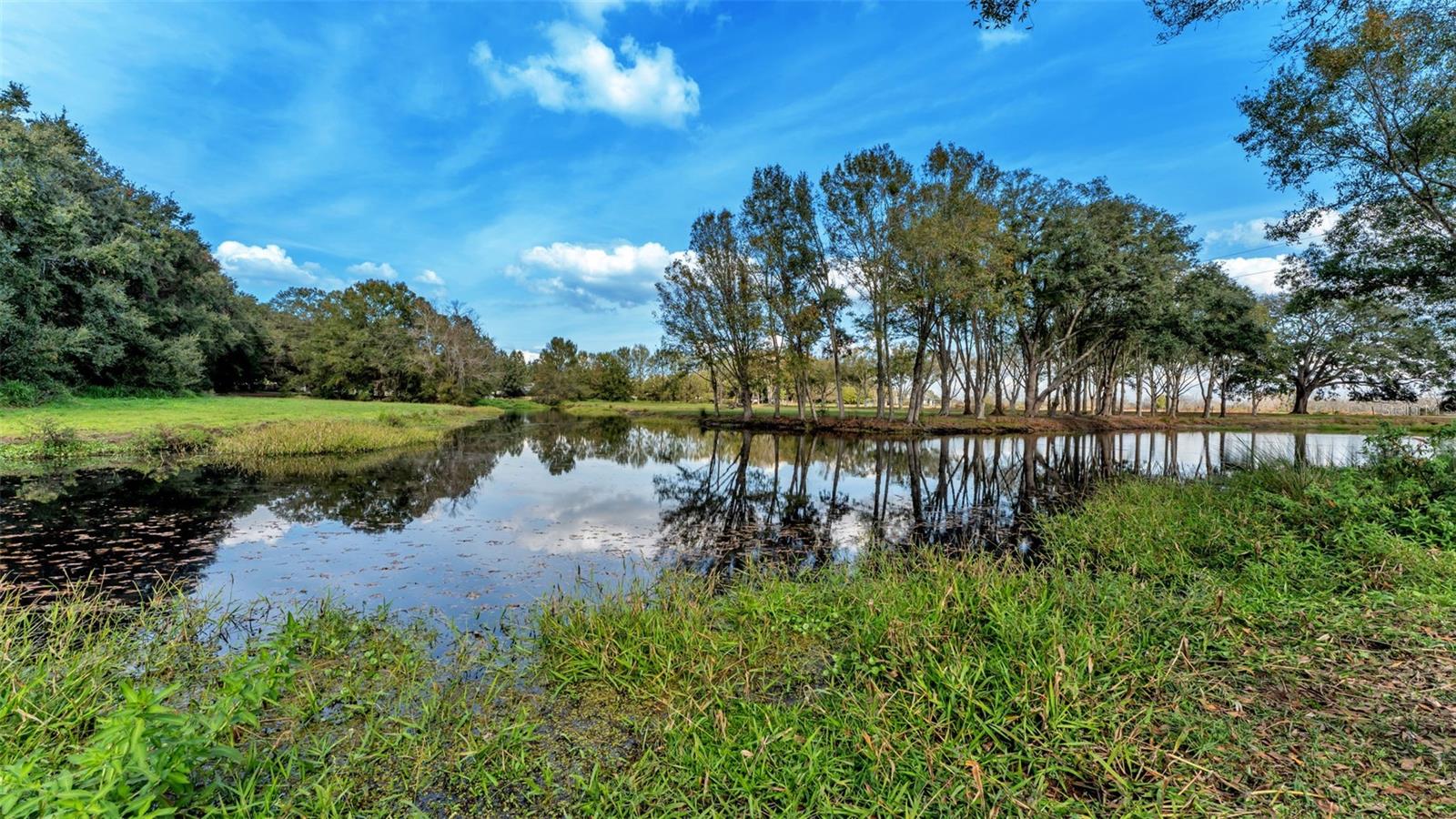 13 BOGEY DR, WINTER HAVEN, FL — photo 99