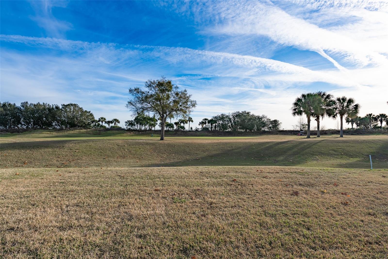 15803 SW 11TH COURT RD, OCALA, FL — photo 48