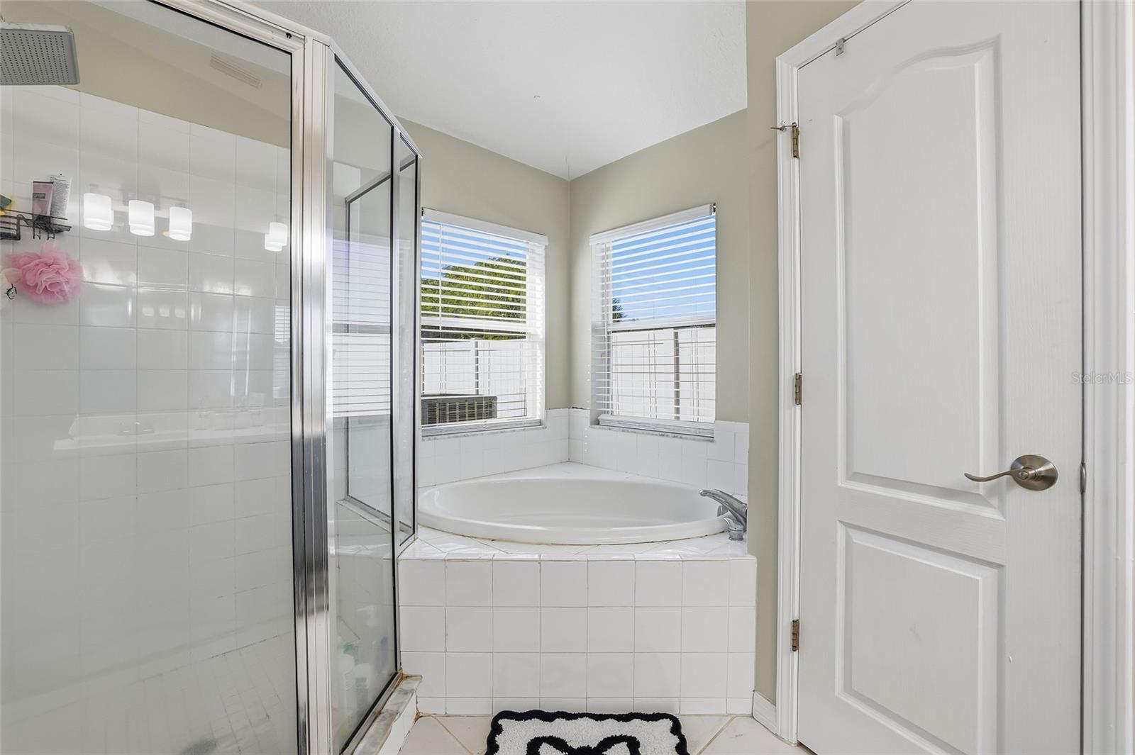 4145 MEDBURY DR, WESLEY CHAPEL, FL — photo 29