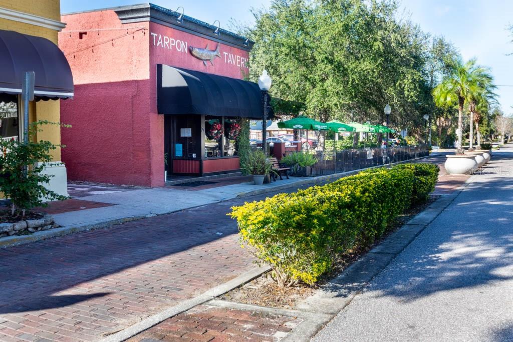 103 E PARK ST, TARPON SPRINGS, FL — photo 71