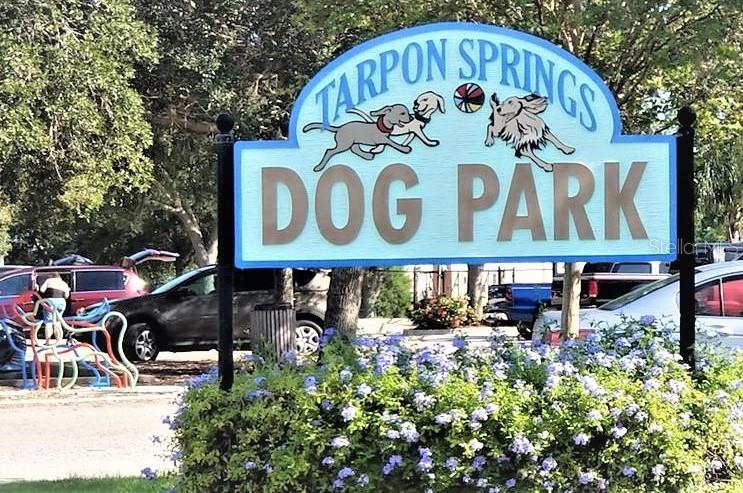 103 E PARK ST, TARPON SPRINGS, FL — photo 84