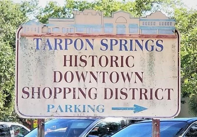 103 E PARK ST, TARPON SPRINGS, FL — photo 86
