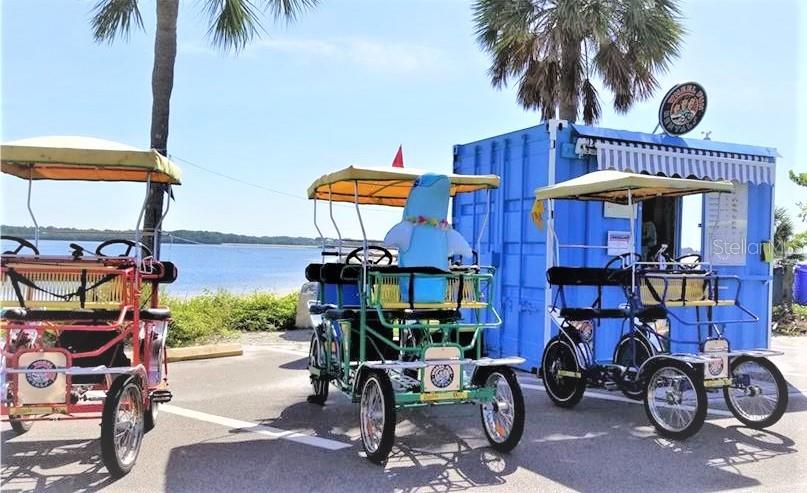 103 E PARK ST, TARPON SPRINGS, FL — photo 90