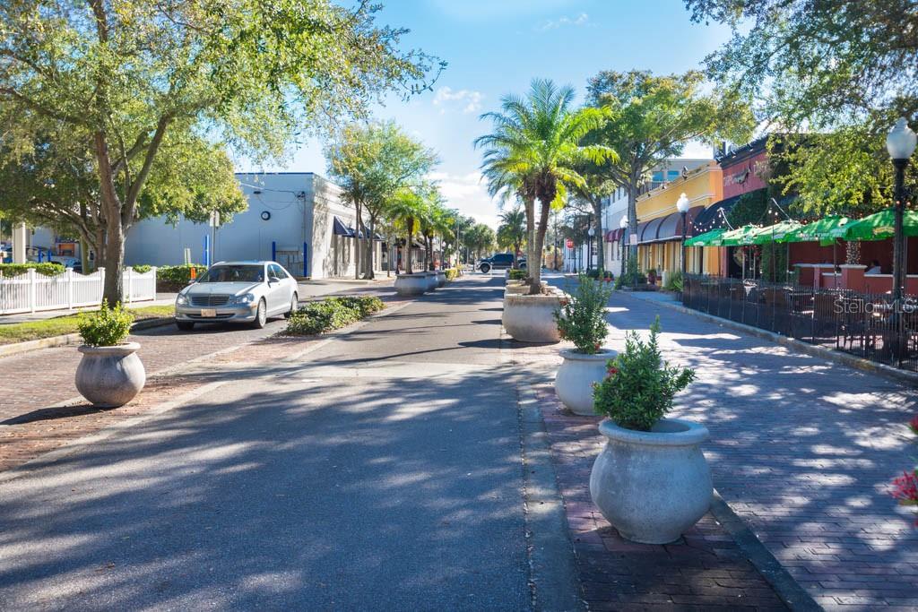 103 E PARK ST, TARPON SPRINGS, FL — photo 92