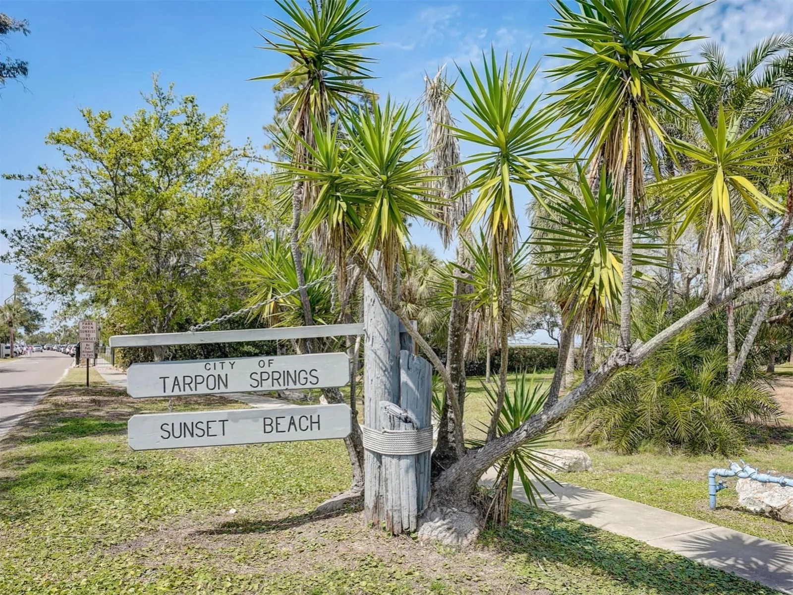 103 E PARK ST, TARPON SPRINGS, FL — photo 104