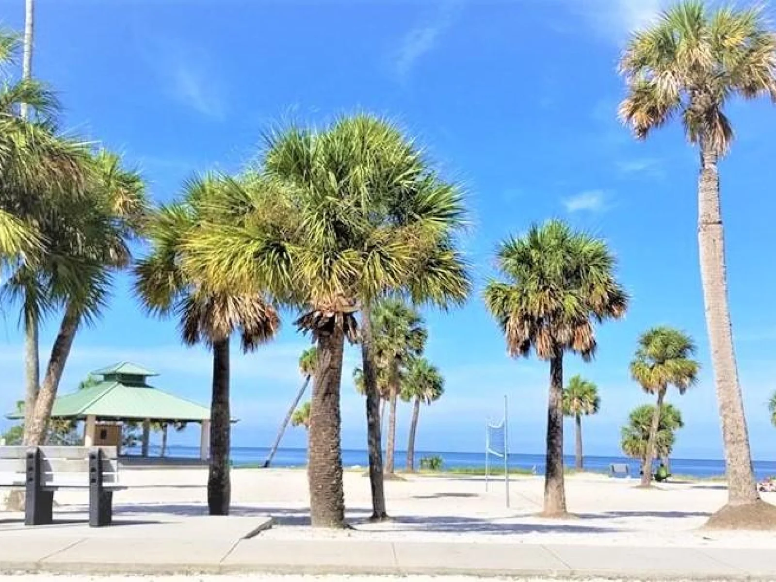 103 E PARK ST, TARPON SPRINGS, FL — photo 108