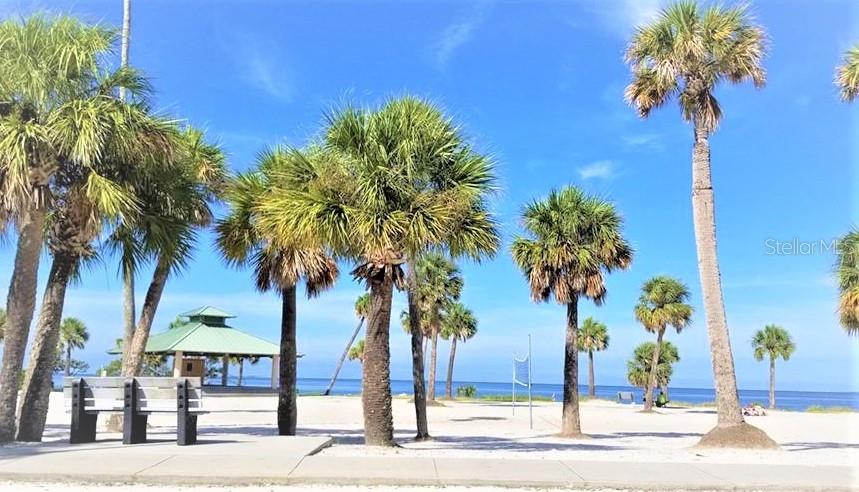 103 E PARK ST, TARPON SPRINGS, FL — photo 107