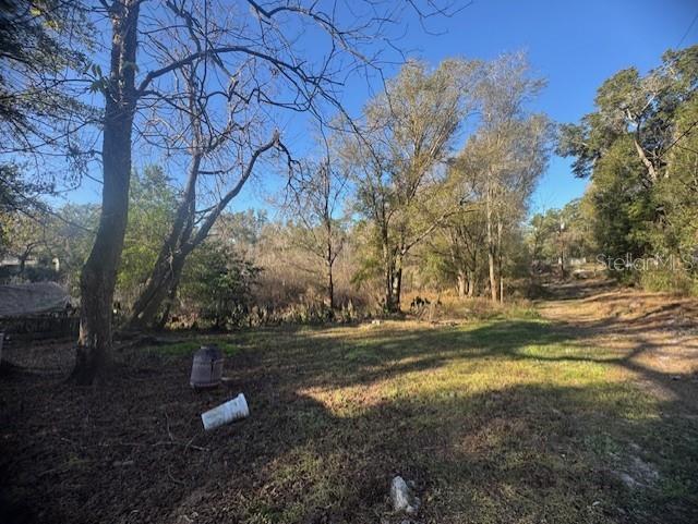 12512 CR 685, WEBSTER, FL — photo 5