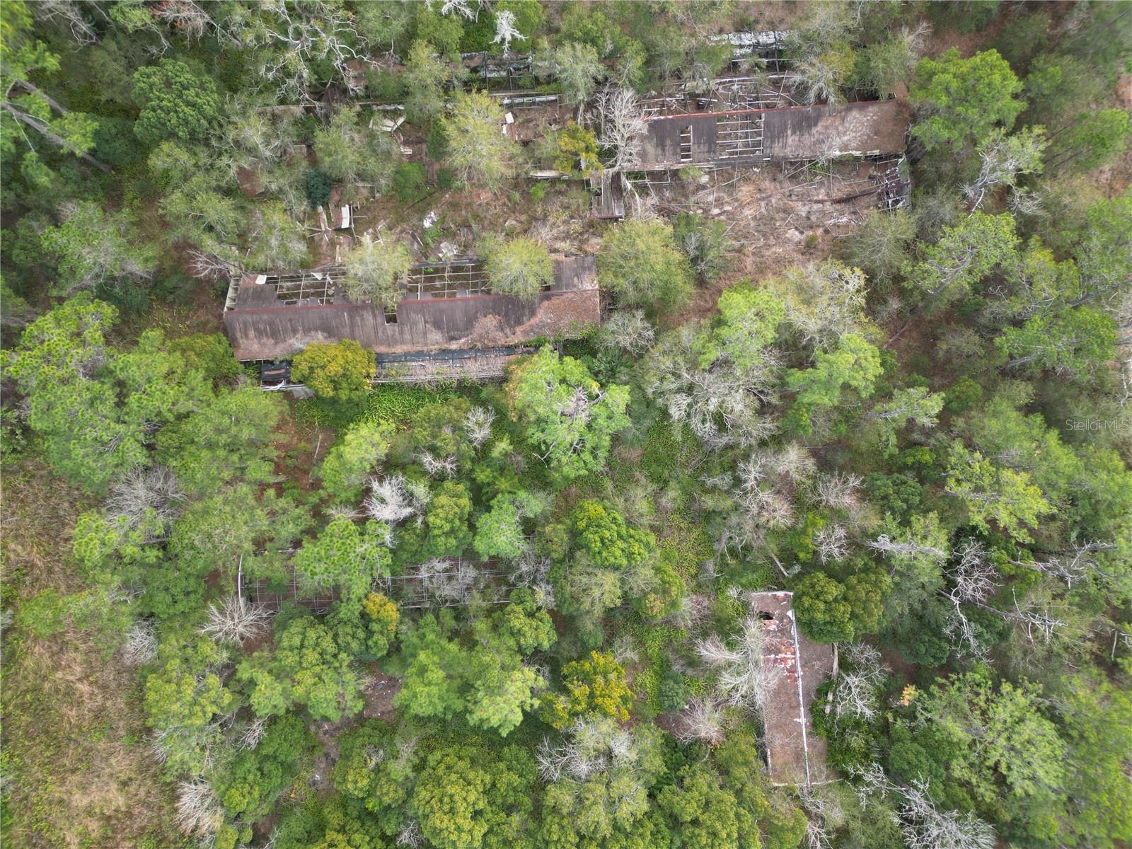 36242 COUNTY ROAD 439, EUSTIS, FL — photo 3