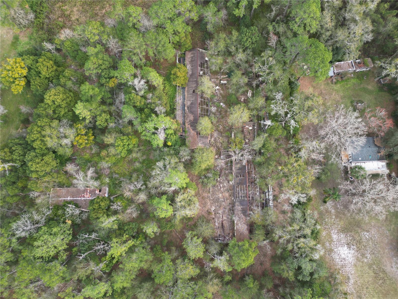 36242 COUNTY ROAD 439, EUSTIS, FL — photo 5
