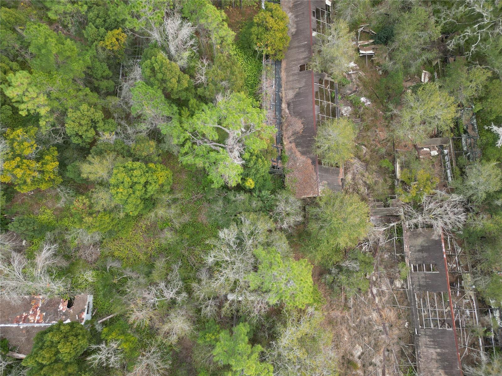 36242 COUNTY ROAD 439, EUSTIS, FL — photo 7