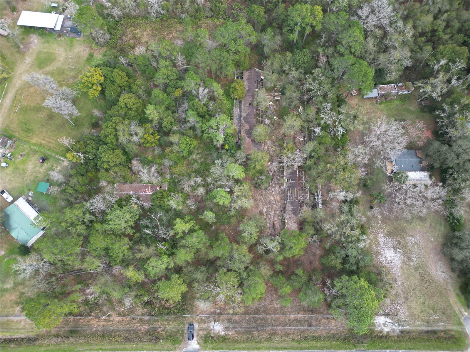 36242 COUNTY ROAD 439, EUSTIS, FL — photo 9