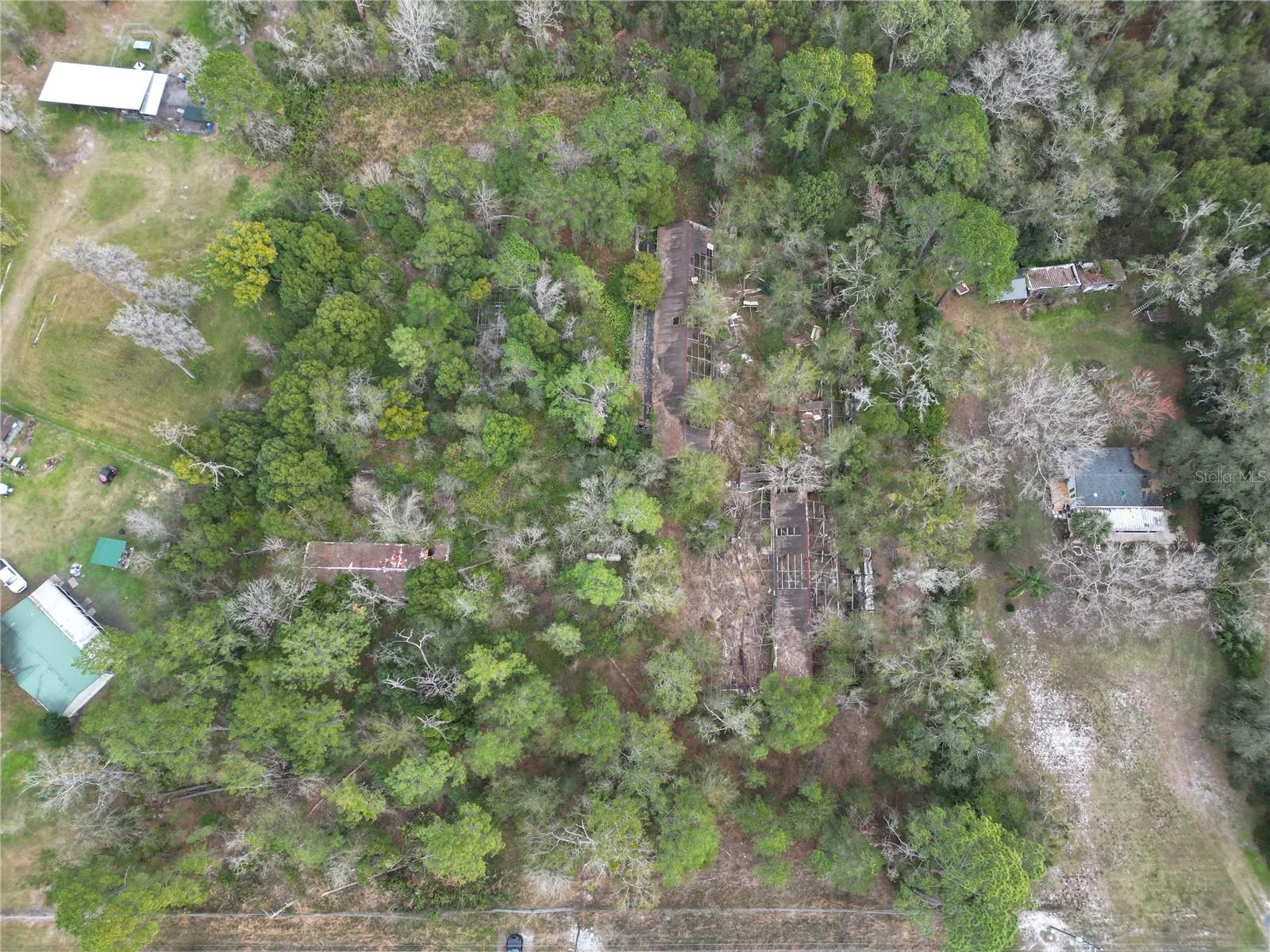 36242 COUNTY ROAD 439, EUSTIS, FL — photo 11
