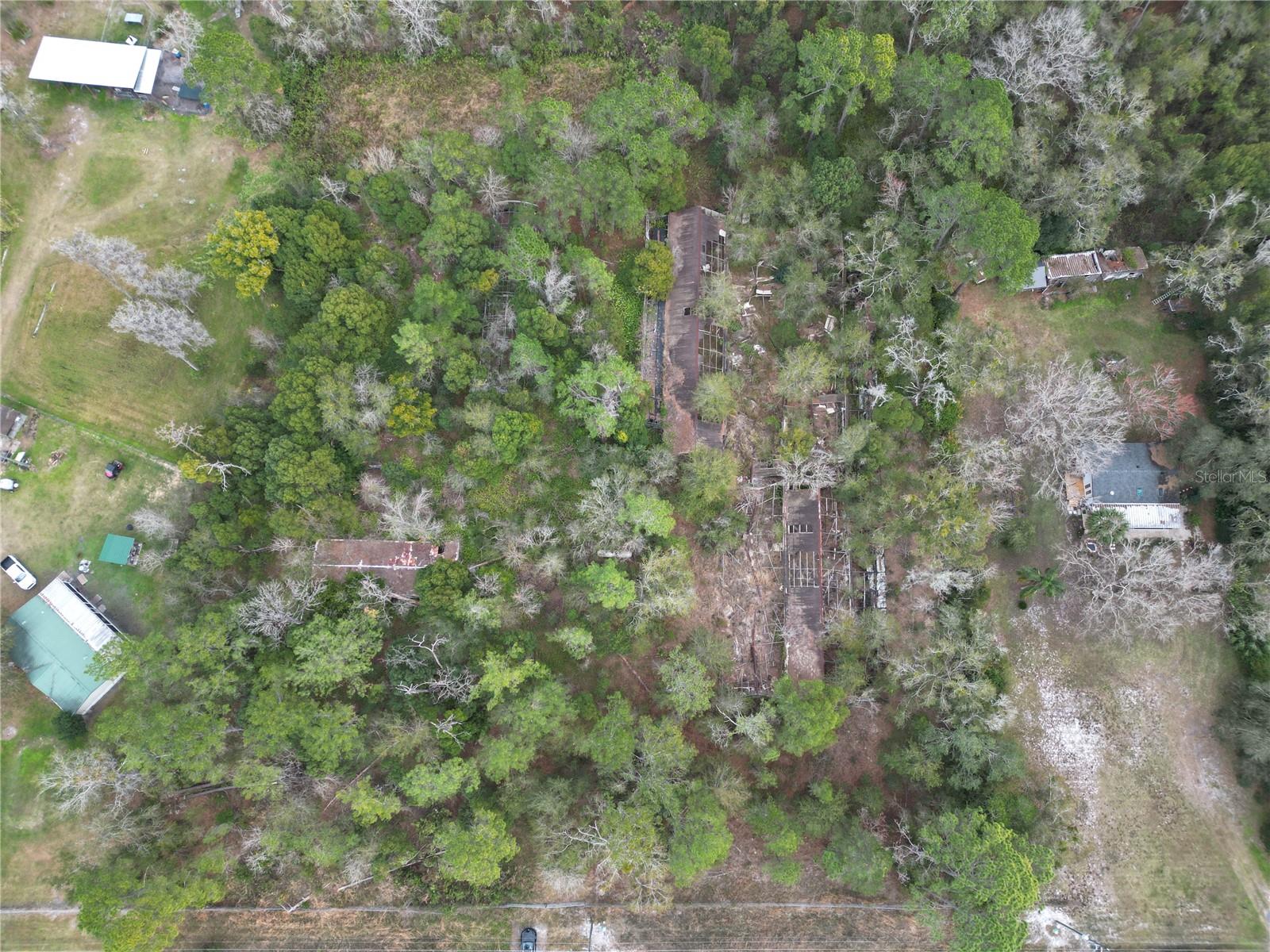 36242 COUNTY ROAD 439, EUSTIS, FL — photo 14