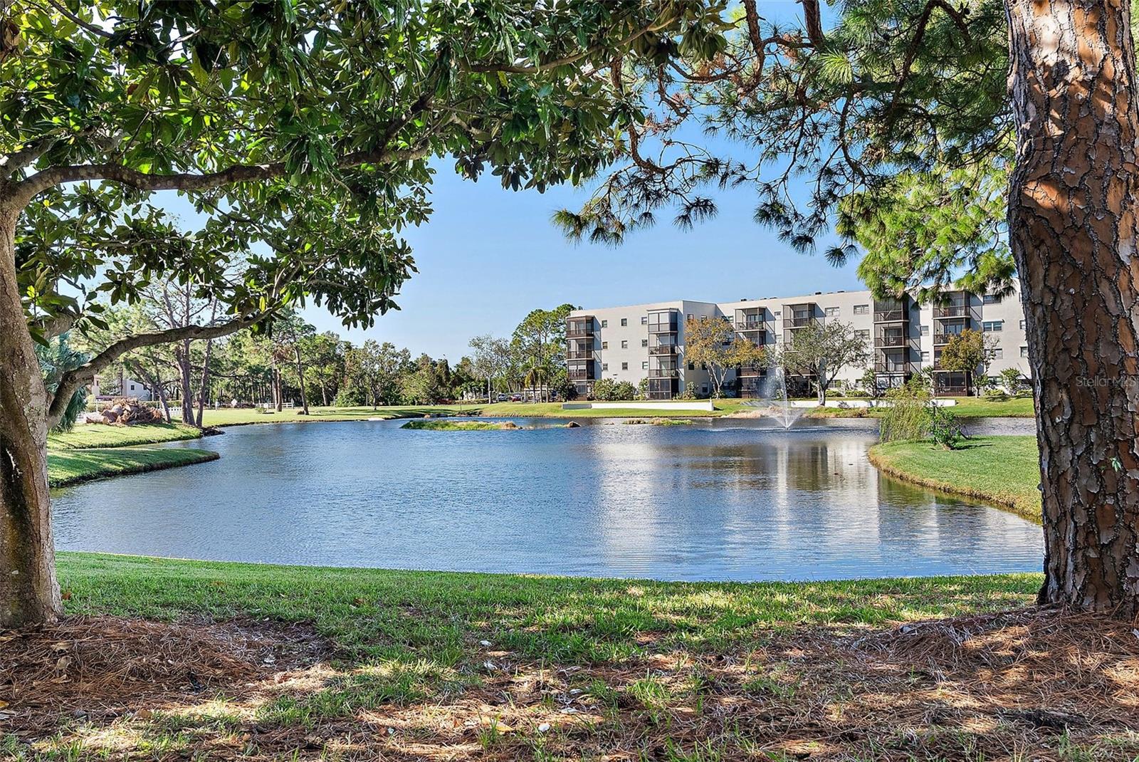 6188 80TH ST N #303, ST PETERSBURG, FL — photo 20