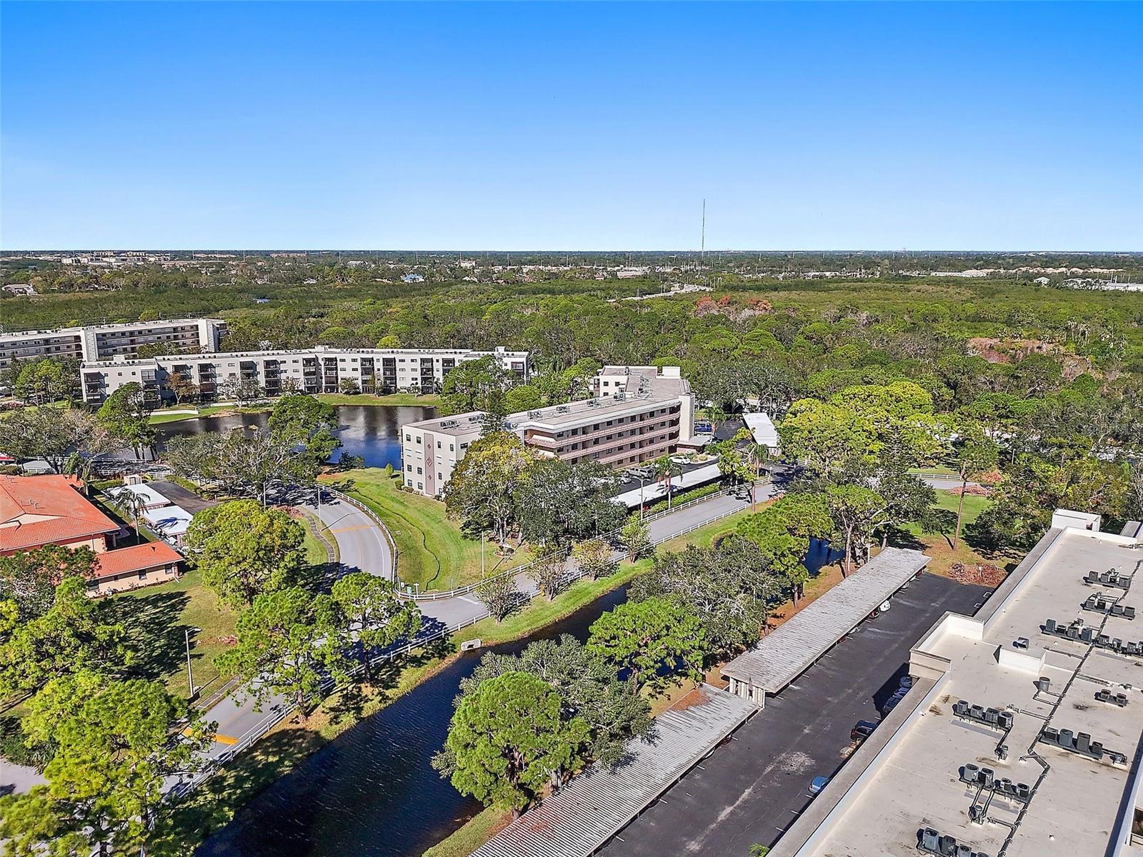6188 80TH ST N #303, ST PETERSBURG, FL — photo 29
