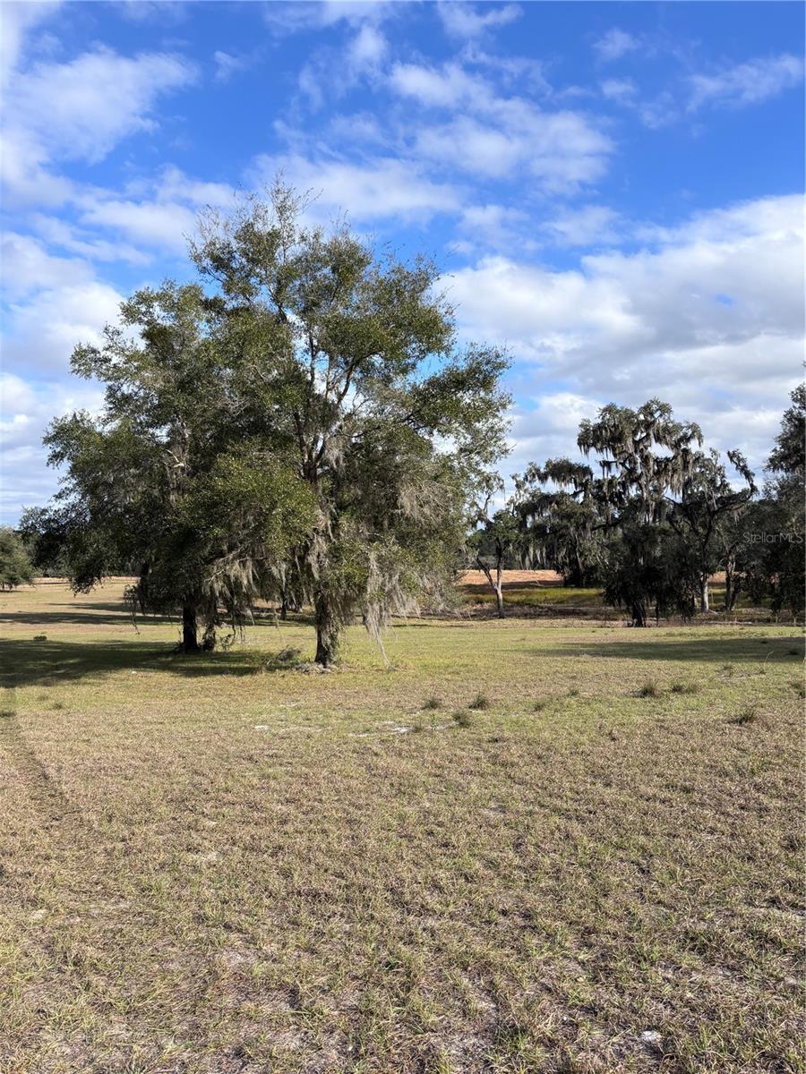 TBD NW 127 CT, OCALA, FL — photo 4