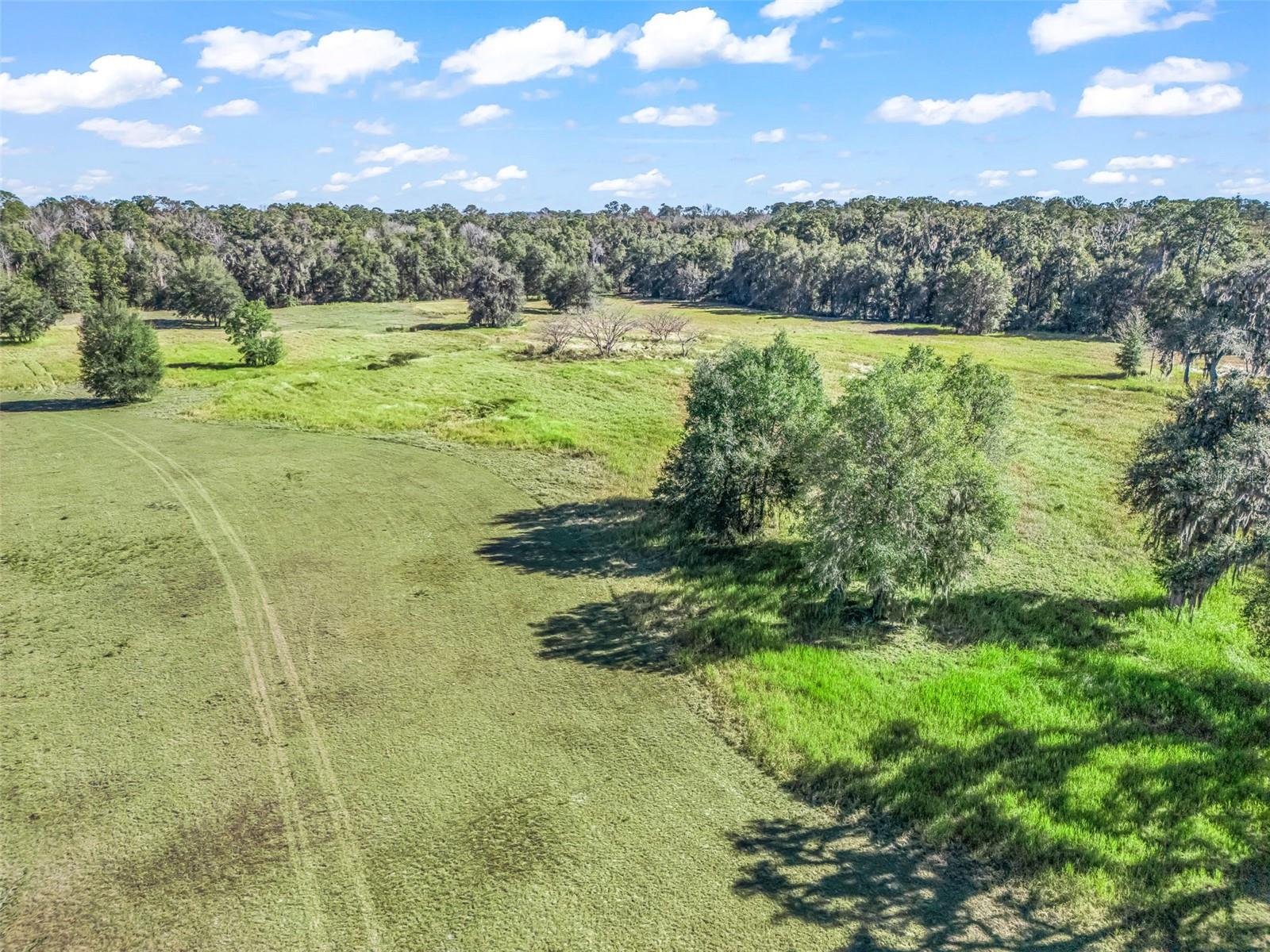 TBD NW 127 CT, OCALA, FL — photo 8