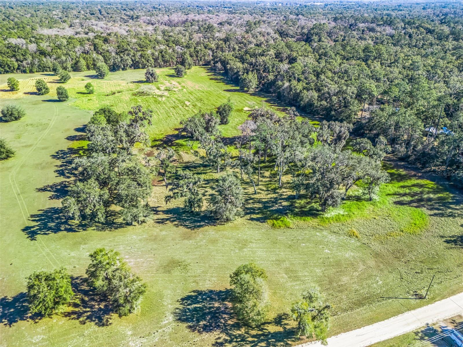 TBD NW 127 CT, OCALA, FL — photo 10