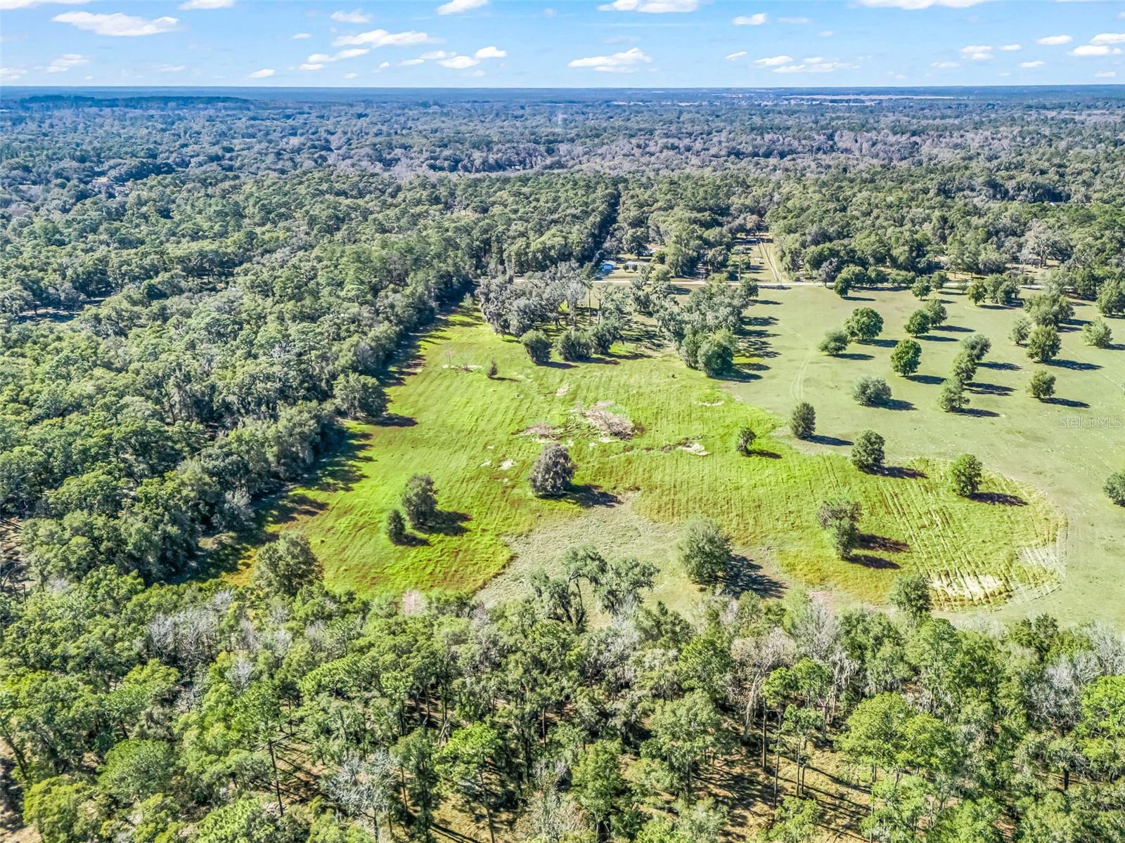TBD NW 127 CT, OCALA, FL — photo 12