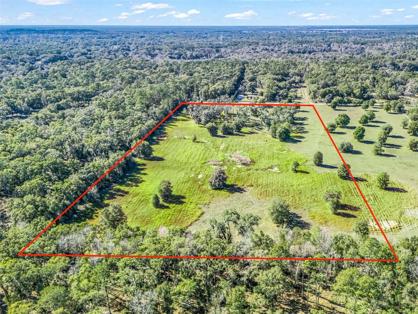TBD NW 127 CT, OCALA, FL — photo 13