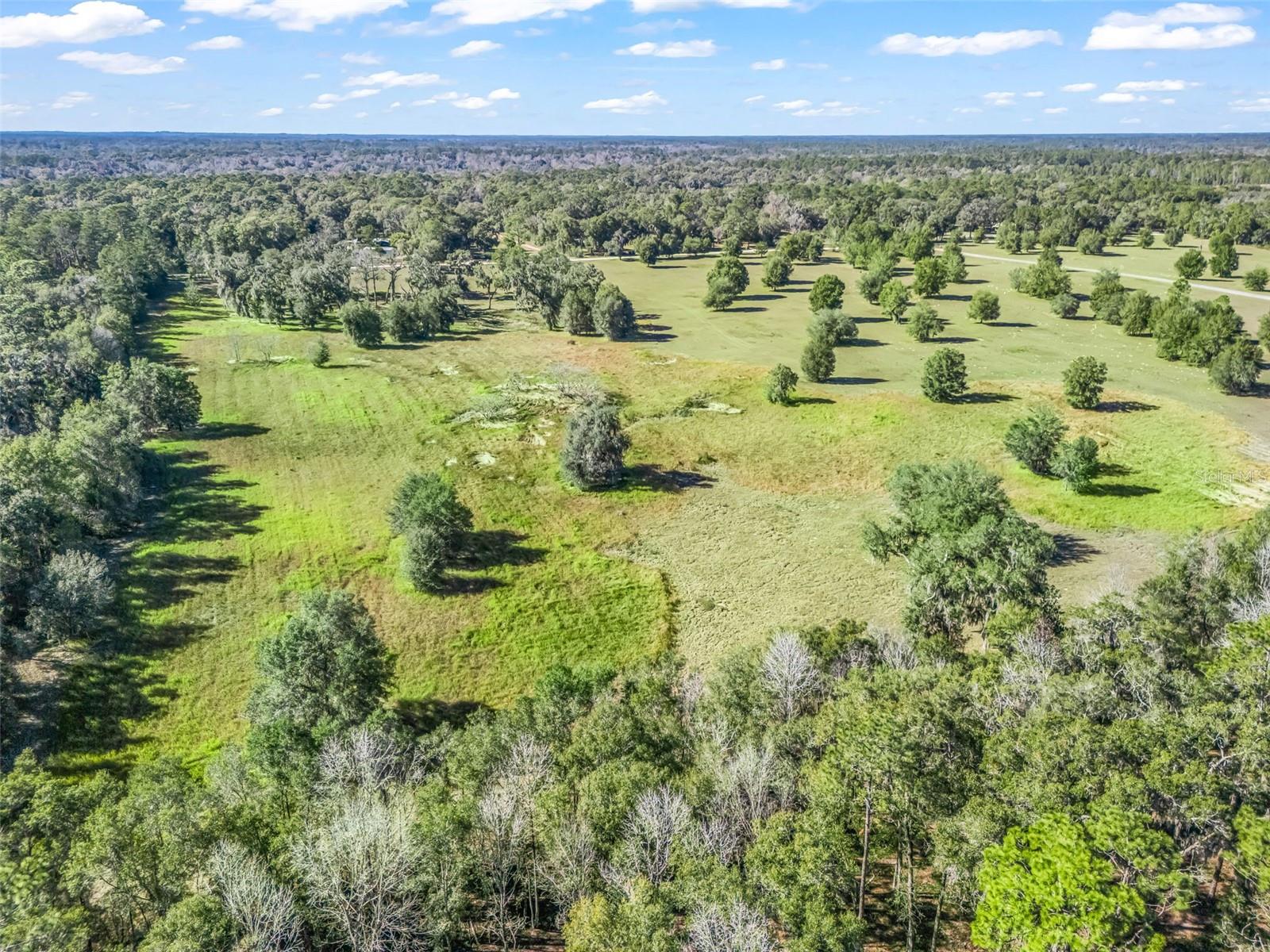 TBD NW 127 CT, OCALA, FL — photo 14