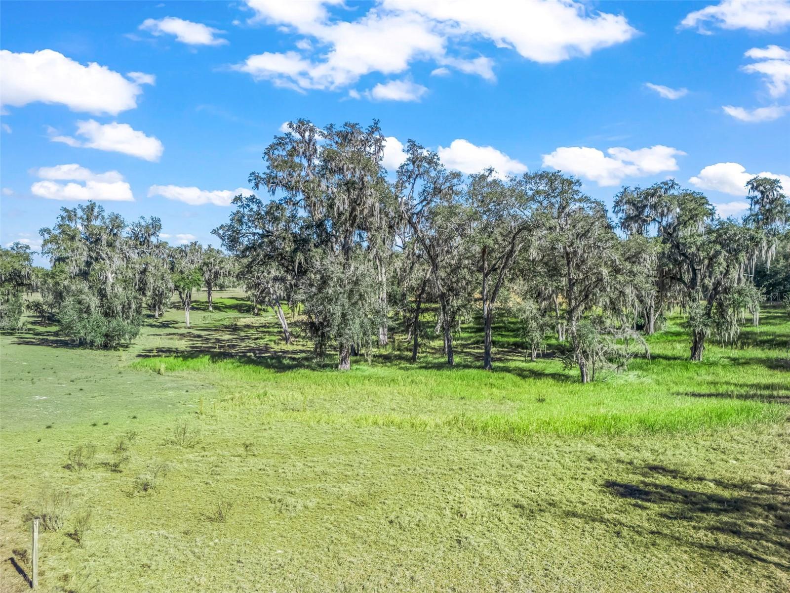 TBD NW 127 CT, OCALA, FL — photo 16