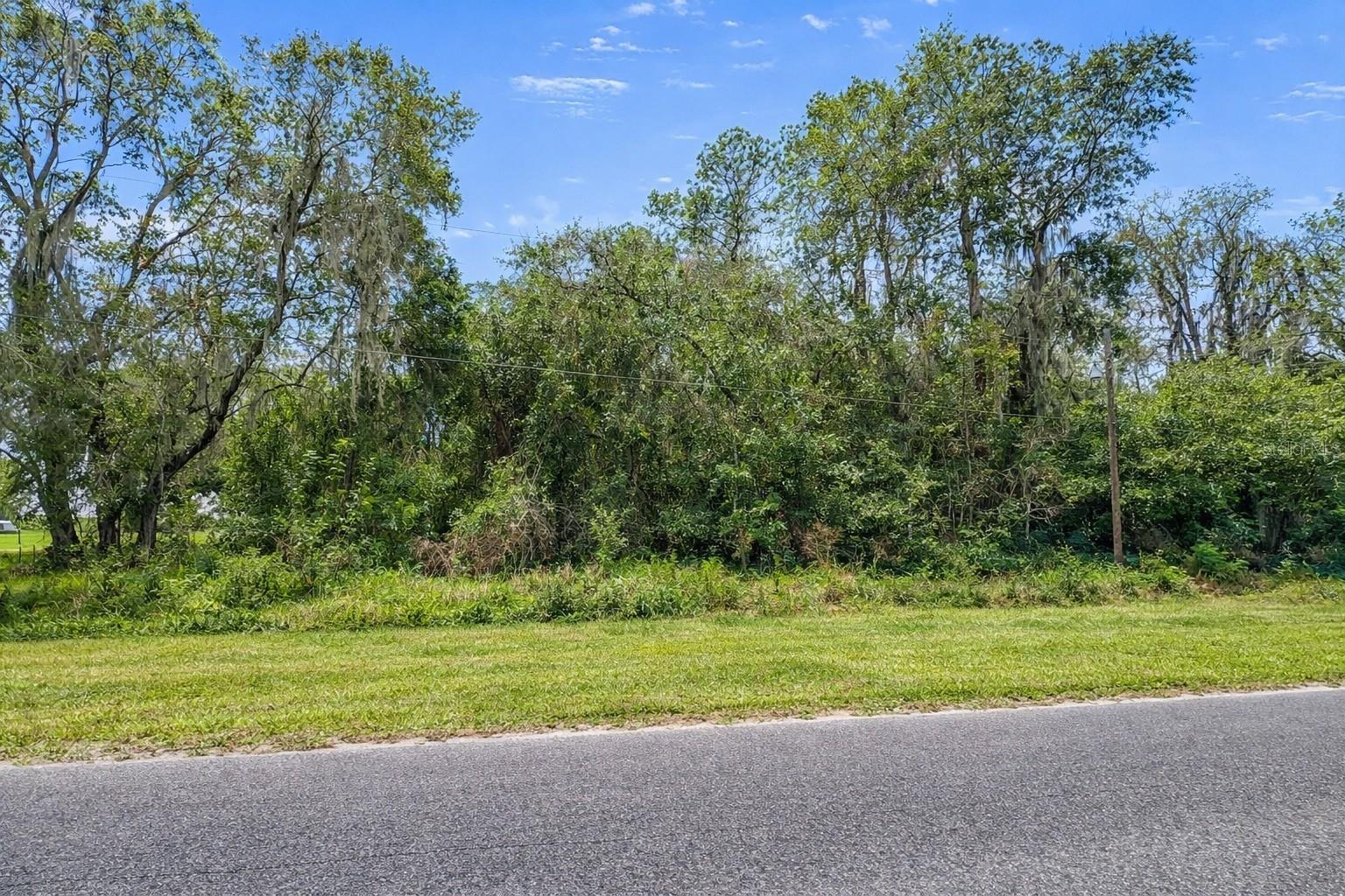 21103 NE 117TH AVE, WALDO, FL — photo 3