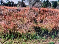 JAYLENE RD — photo 1