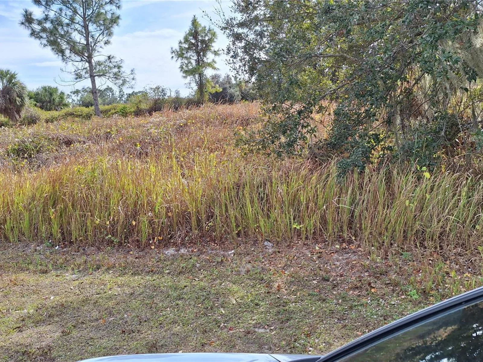 JAYLENE RD, NORTH PORT, FL — photo 2