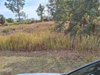 JAYLENE RD — photo 2