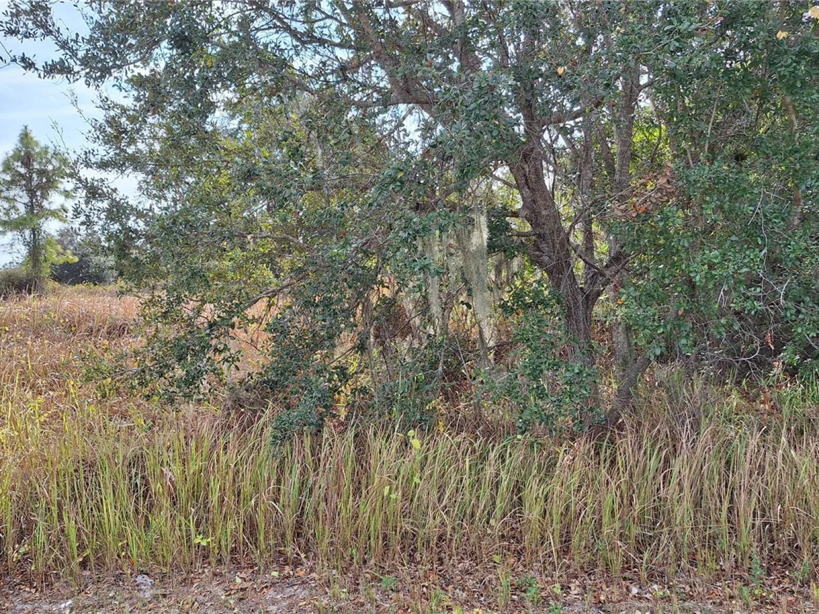 JAYLENE RD, NORTH PORT, FL — photo 3