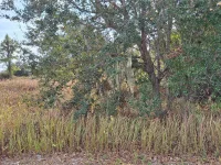 JAYLENE RD — photo 3