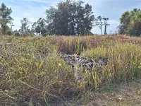 JAYLENE RD — photo 4