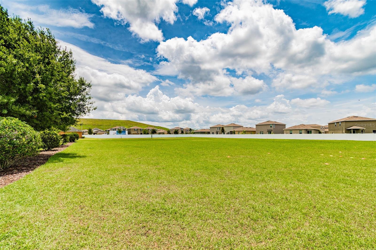 10248 CARLOWAY HILLS DR, WIMAUMA, FL — photo 55