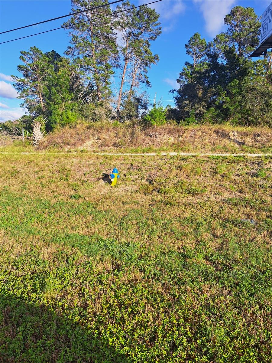 US 19 HWY, HUDSON, FL
