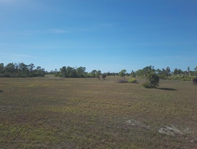 12455 BLUE MARLIN RD, PLACIDA, FL — photo 2
