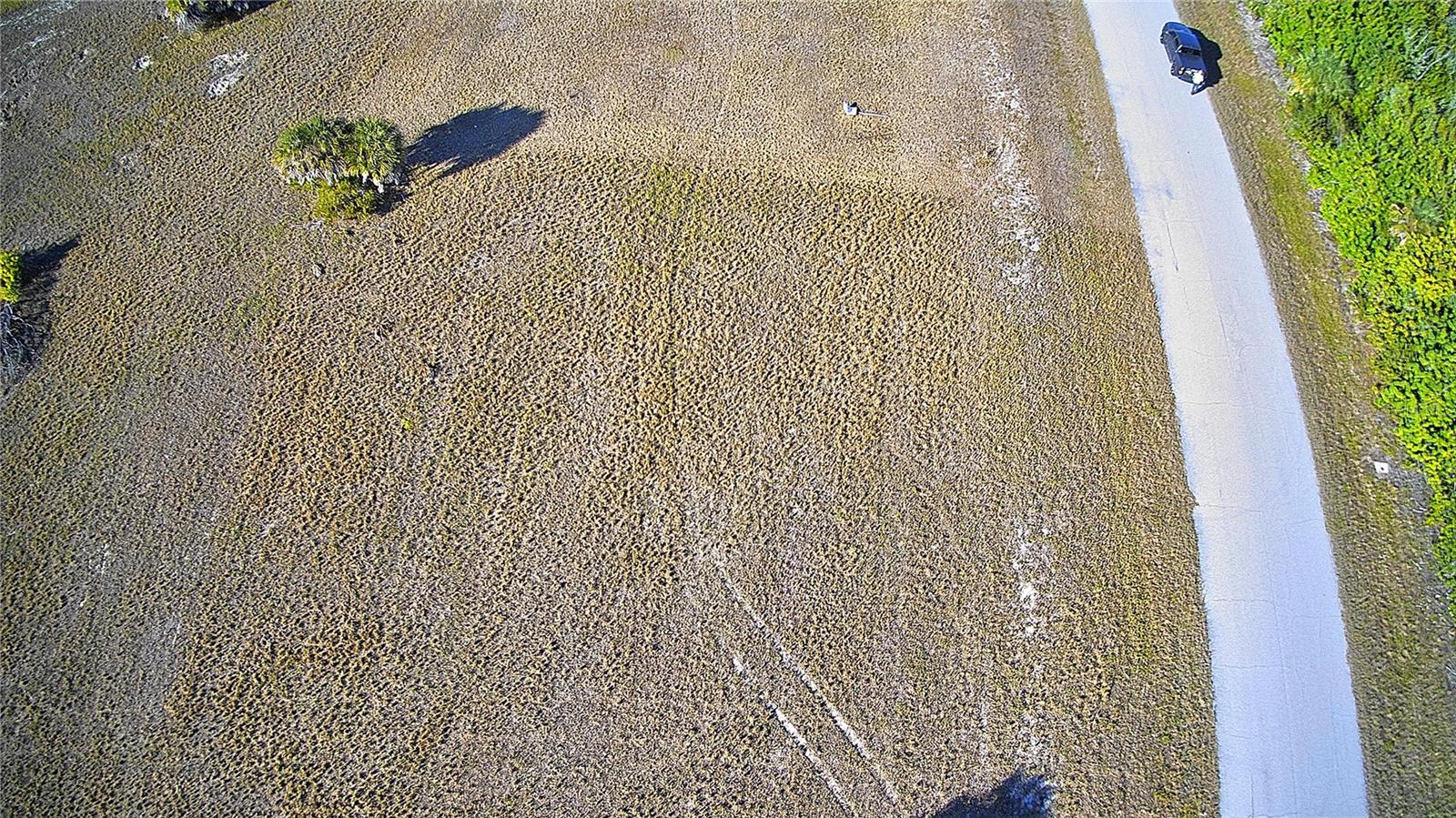 12455 BLUE MARLIN RD, PLACIDA, FL — photo 10