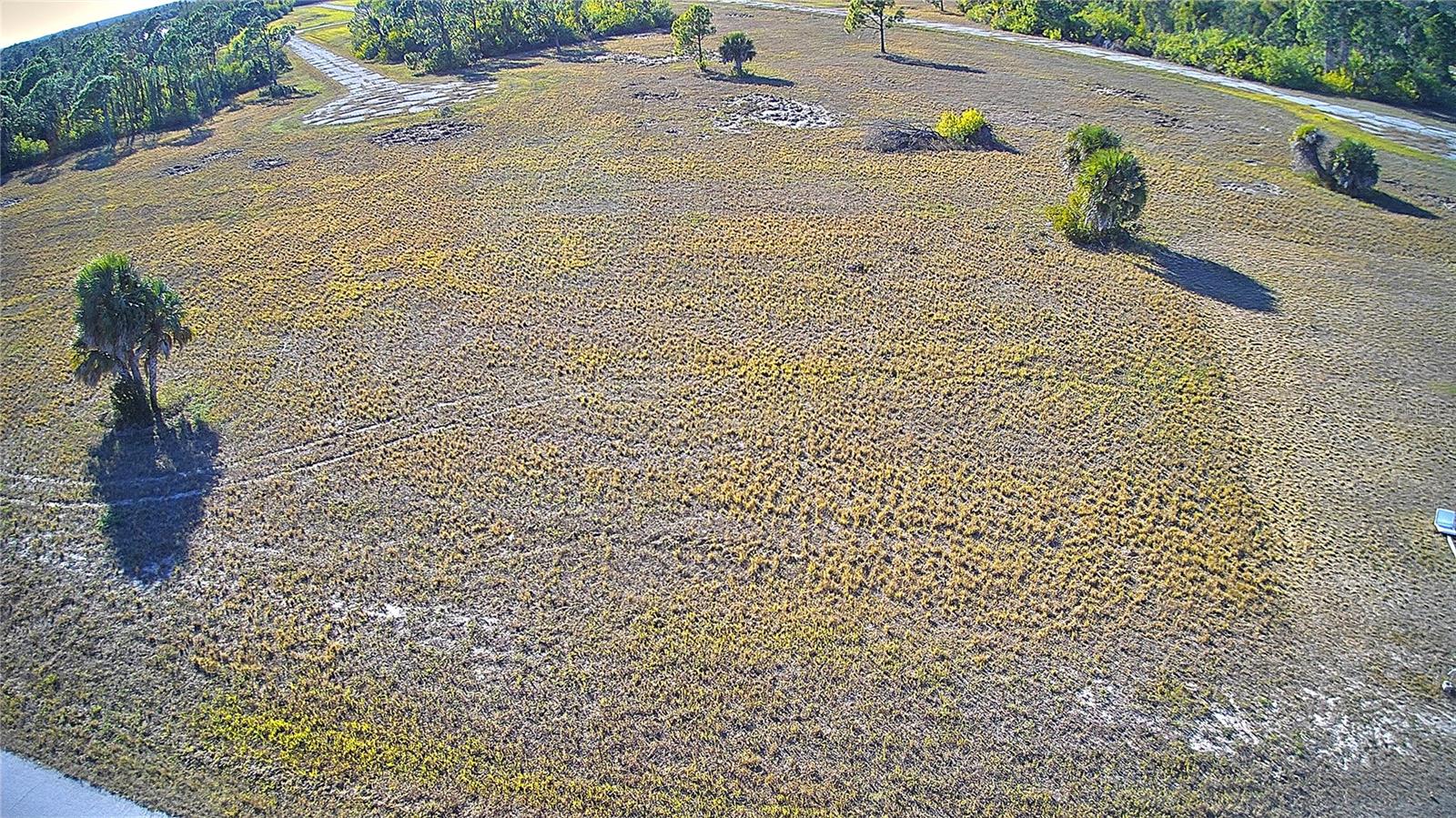 12455 BLUE MARLIN RD, PLACIDA, FL — photo 11