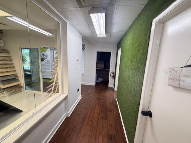 3852 L B MCLEOD RD, ORLANDO, FL — photo 25