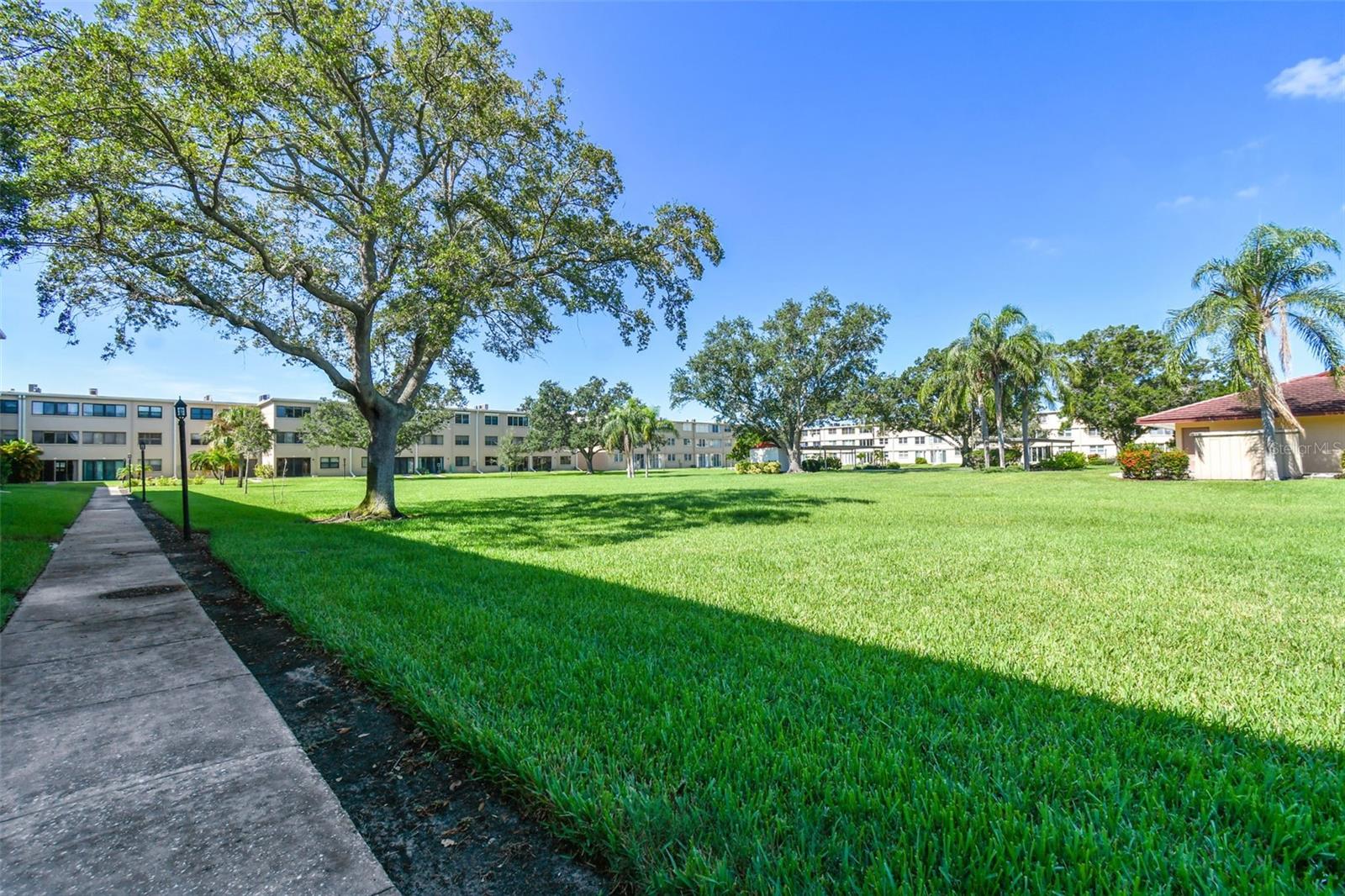 4885 1ST ST NE #203, ST PETERSBURG, FL — photo 35
