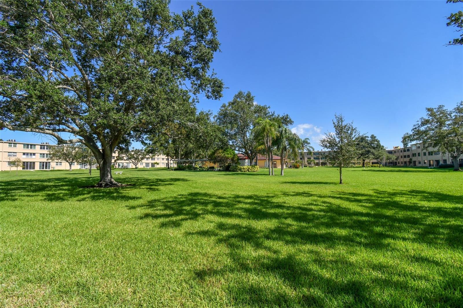 4885 1ST ST NE #203, ST PETERSBURG, FL — photo 41
