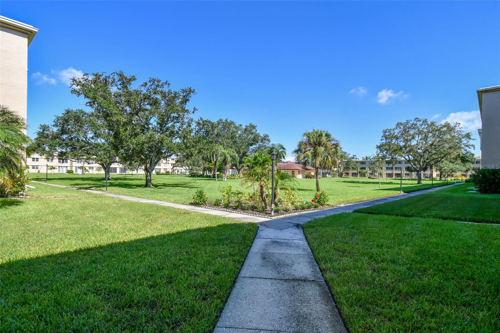 4885 1ST ST NE #203, ST PETERSBURG, FL — photo 42