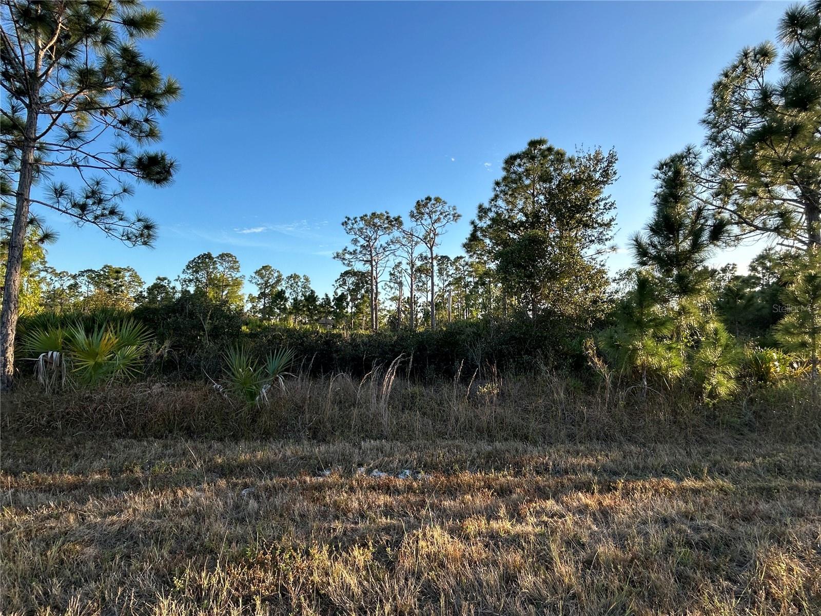 12157 GISINGER BLVD, PORT CHARLOTTE, FL