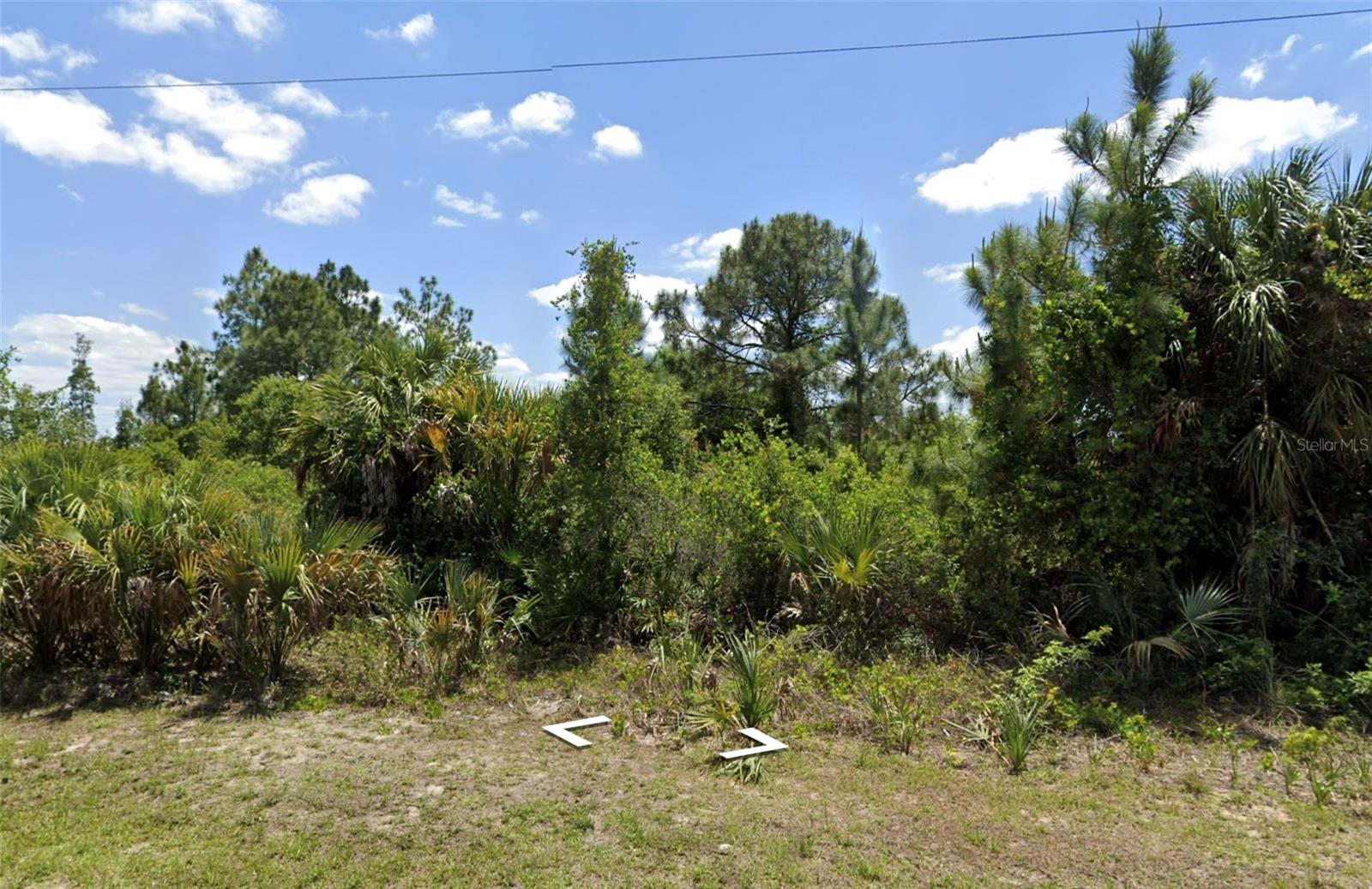 3205 W 54TH ST, LEHIGH ACRES, FL — photo 4
