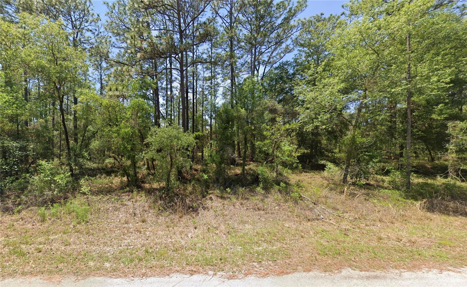 1110 NW REDWOOD DR, DUNNELLON, FL