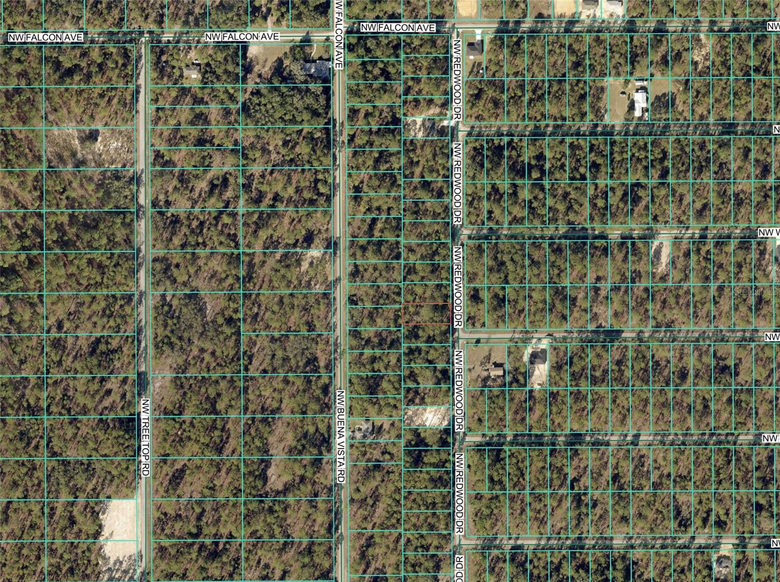 1110 NW REDWOOD DR, DUNNELLON, FL — photo 5