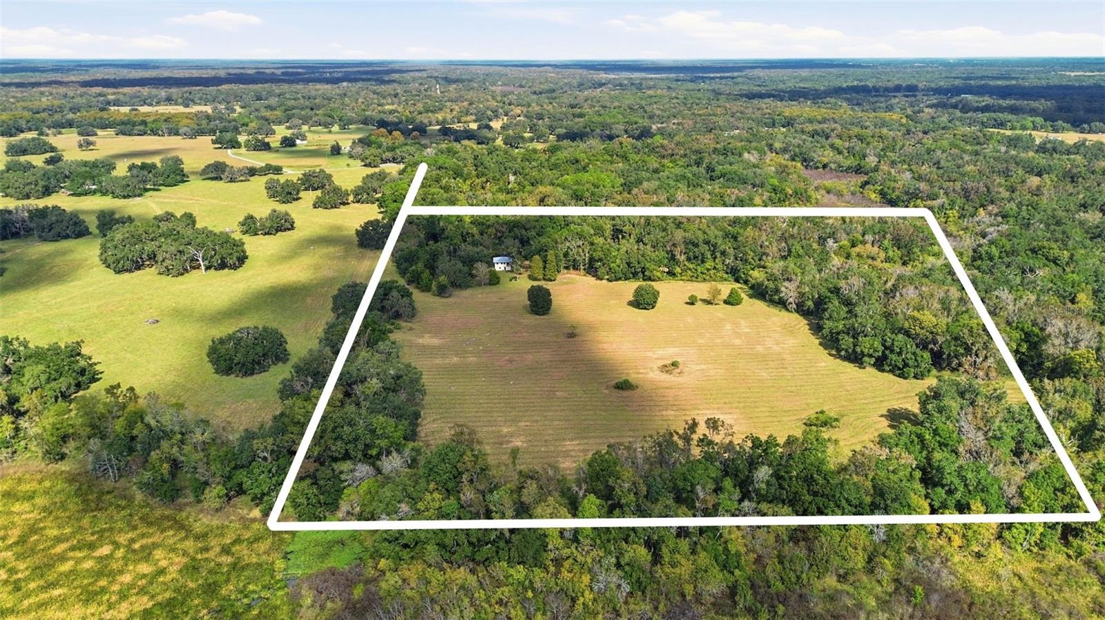 5505 CR 634S, BUSHNELL, FL — photo 10