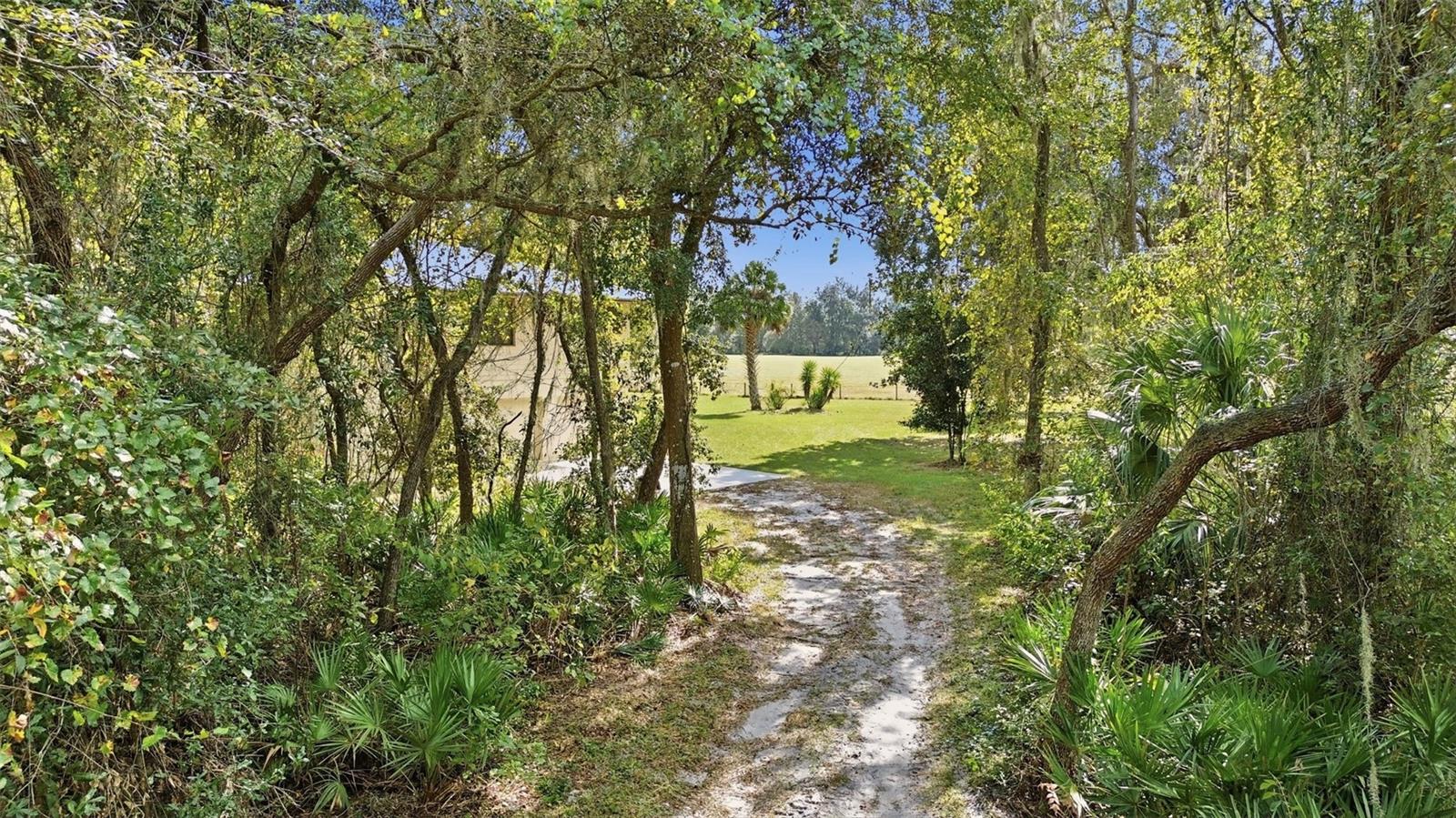 5505 CR 634S, BUSHNELL, FL — photo 27