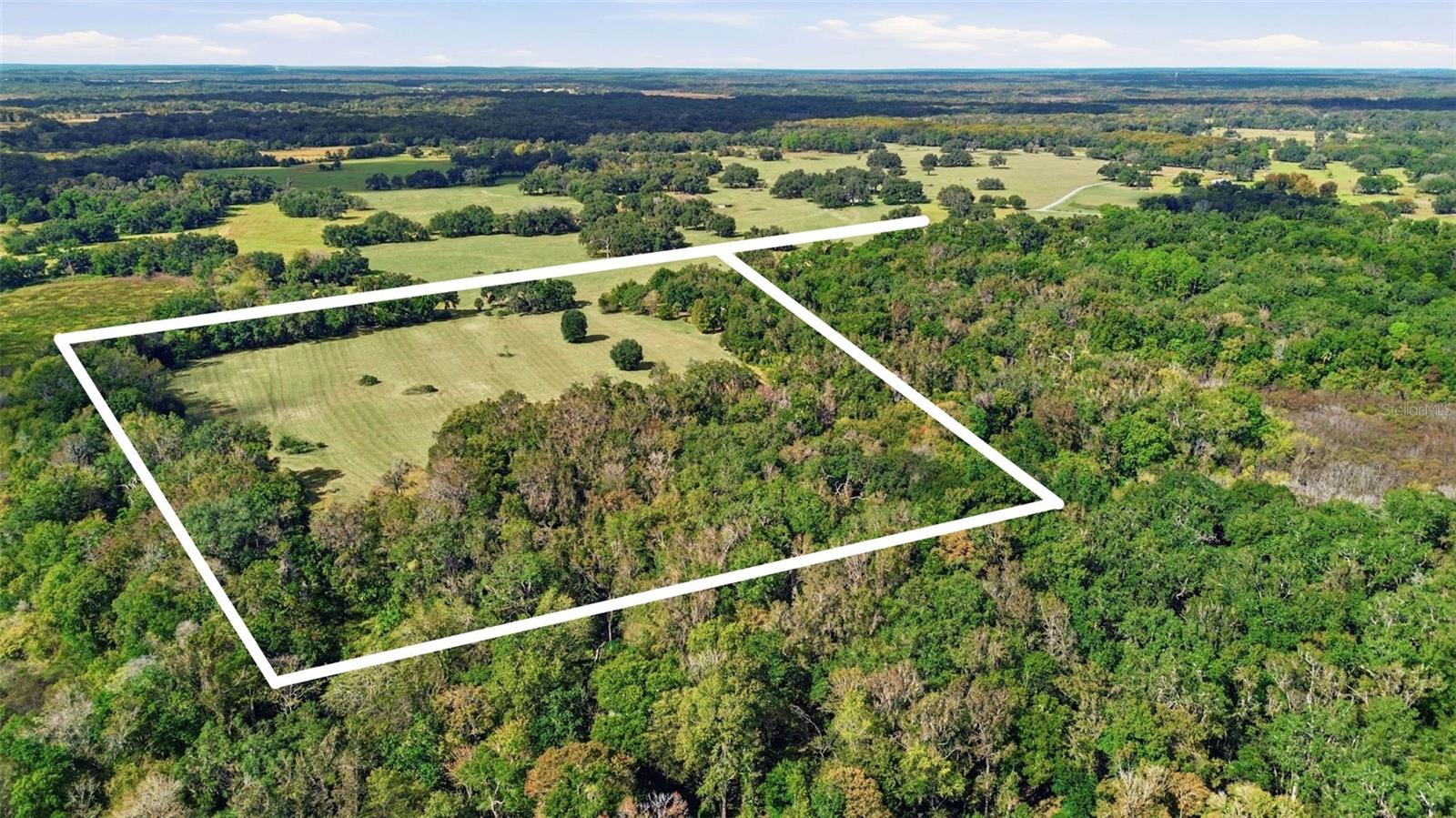 5505 CR 634S, BUSHNELL, FL — photo 29